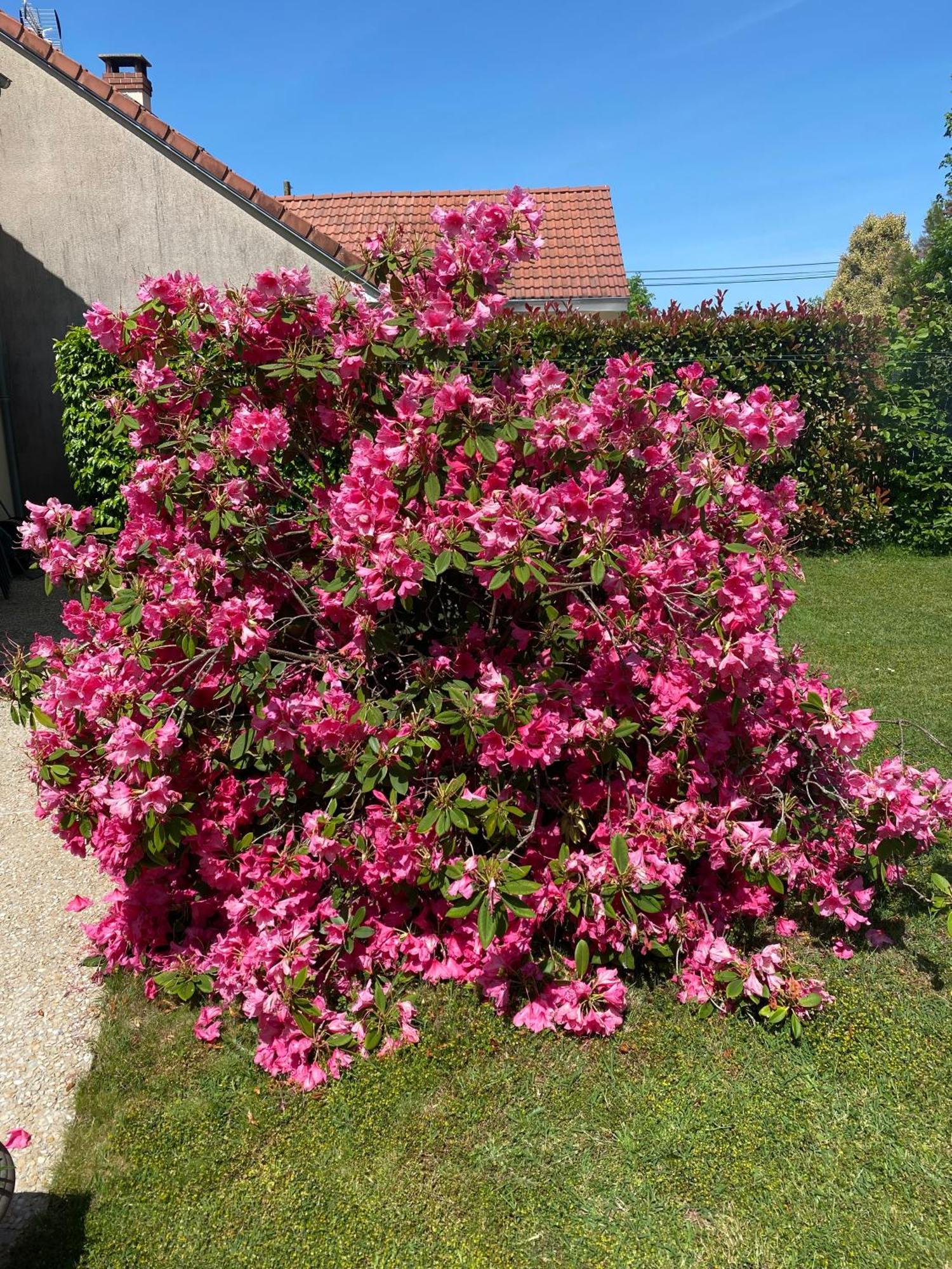 Le Petitepinay Bed & Breakfast Moitron-sur-Sarthe Bagian luar foto